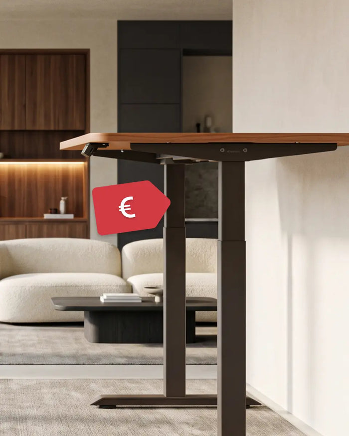 Hoeveel kost een zit-sta-bureau?