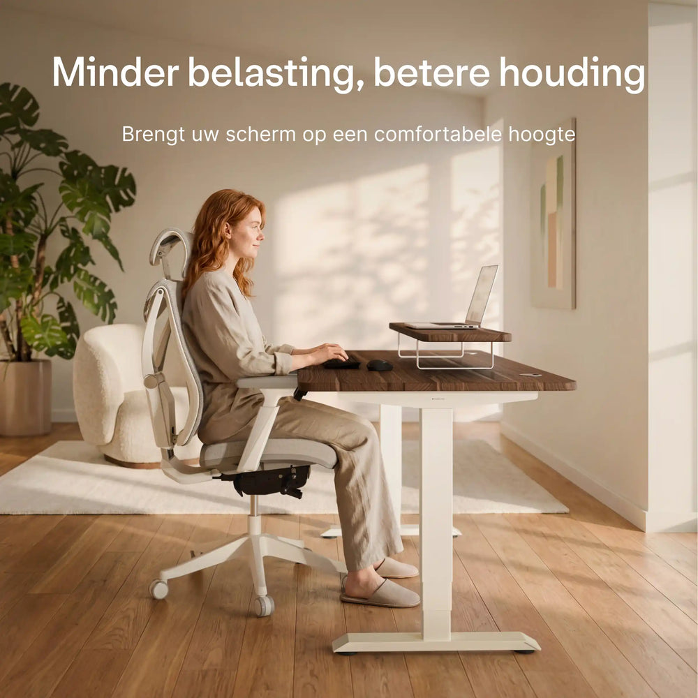 Monitorstandaard