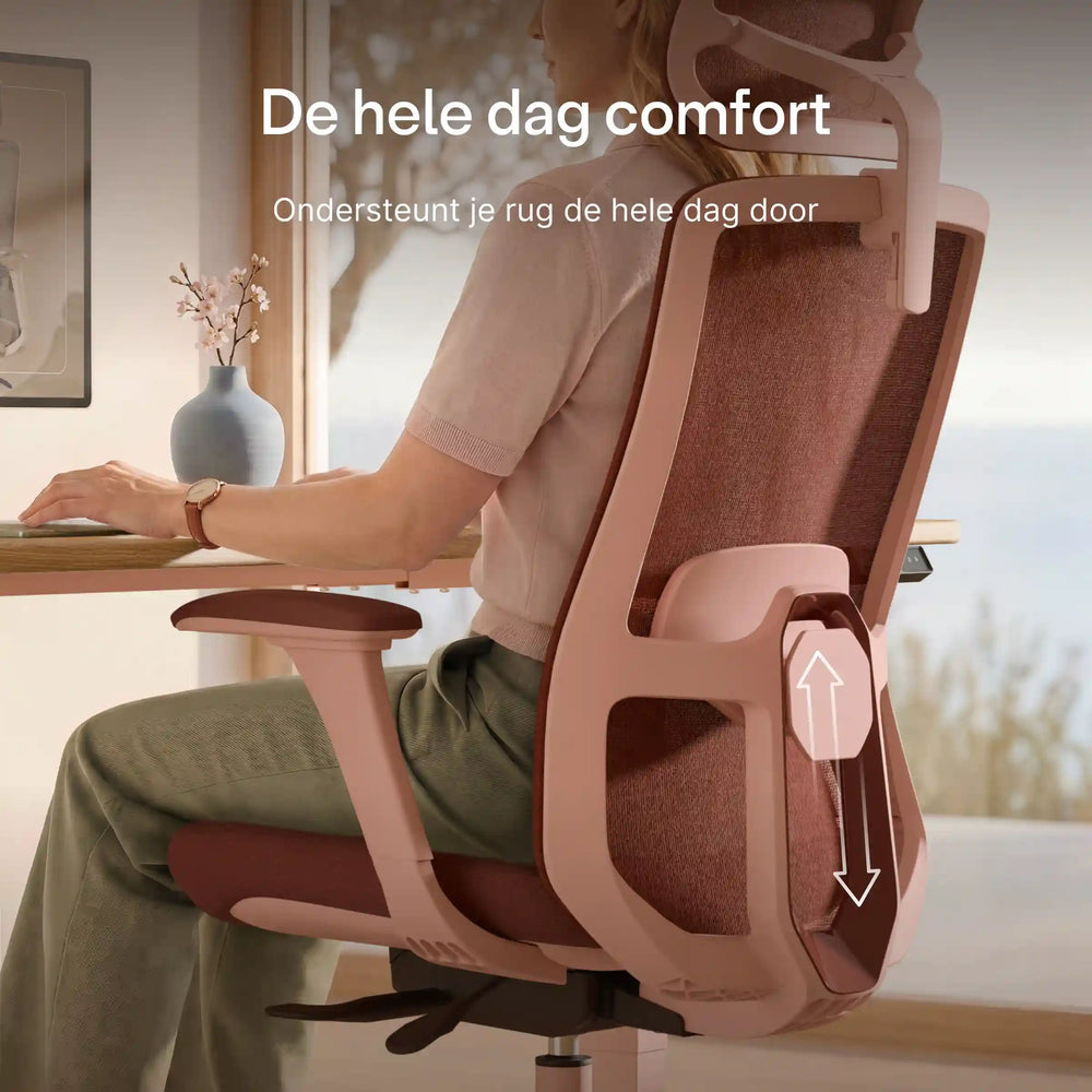SitOne ergonomische bureaustoel