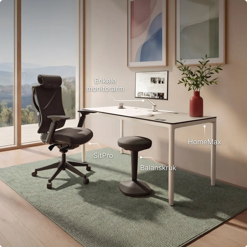SitPro ergonomische bureaustoel