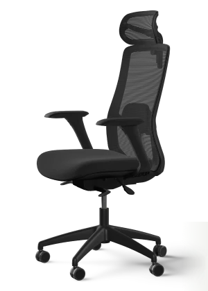 SitOne ergonomische bureaustoel